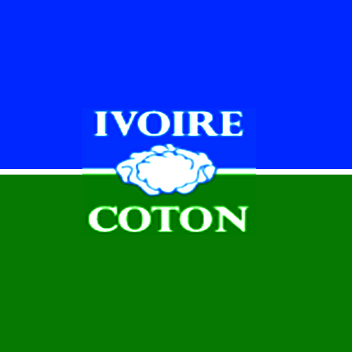 IVOIRE COTON