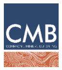 Compagnie Minière du Bafing (CMB)