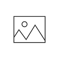 Union Transit International